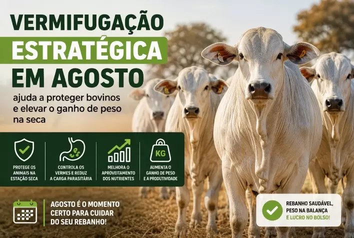 Vermifugação estratégica em agosto ajuda a proteger bovinos e elevar o ganho de peso na seca