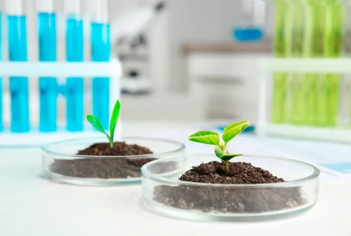 Decreto da Lei de Bioinsumos entra na fase final e indústria projeta avanço da regulamentação