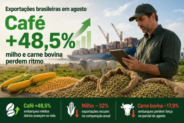 Exportações de café disparam 48,5% em agosto, enquanto milho e carne bovina perdem ritmo