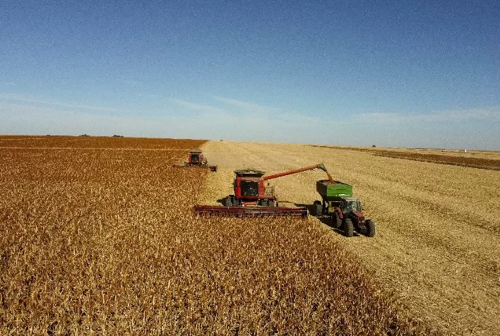 Colheita do sorgo safrinha é concluída na área da Comigo, em Goiás
