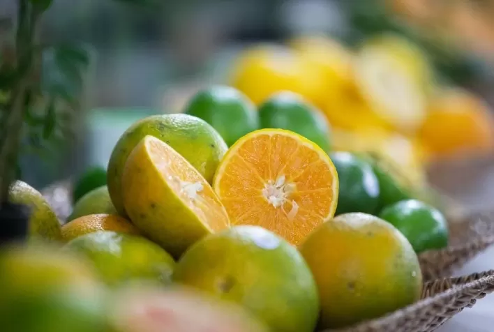 Preço da laranja pera segue pressionado, enquanto poncã e lima tahiti avançam em agosto