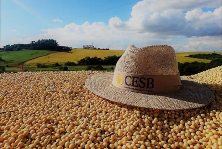 Produtividade da soja salta de 44 para 156 sacas por hectare em 18 anos de Desafio CESB