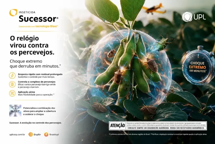 Novo inseticida promete ação em até uma hora contra percevejos e bicudo-do-algodoeiro