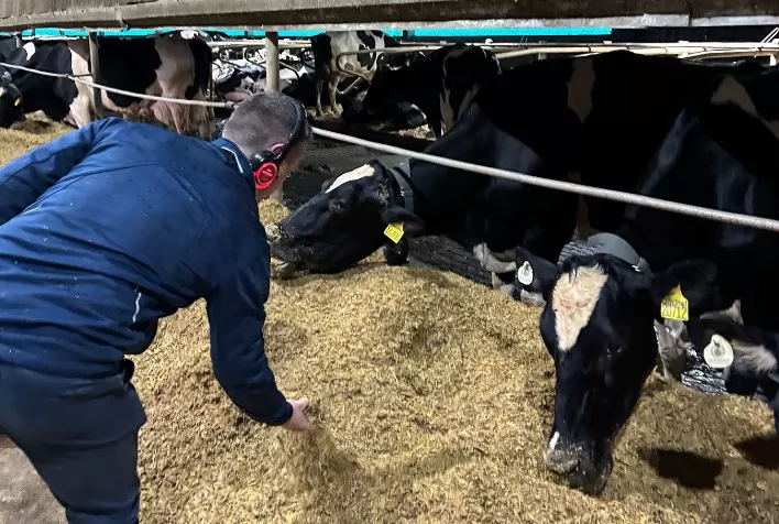 Levedura de cana ganha espaço na nutrição animal com pesquisa, tecnologia e aplicação no campo