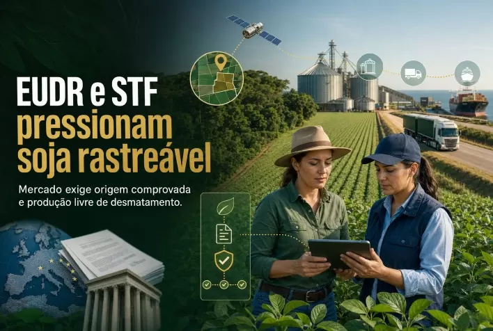 EUDR e decisão do STF ampliam pressão por soja rastreável e livre de desmatamento