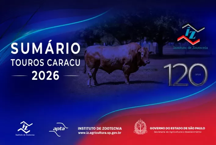 Sumário de Touros Caracu 2026 usa genômica para aumentar precisão na seleção de reprodutores