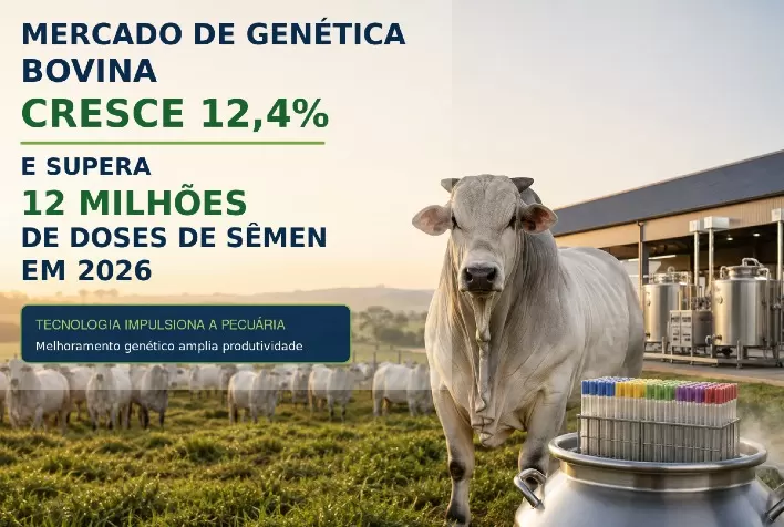 Mercado de genética bovina cresce 12,4% e supera 12 milhões de doses de sêmen em 2026