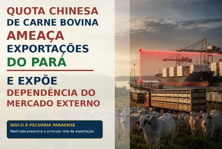 Quota chinesa de carne bovina ameaça exportações do Pará e expõe dependência do mercado externo