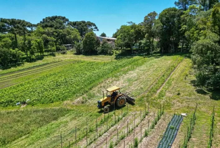 Agricultura regenerativa reduz custos, protege a produção e atrai bilhões em investimentos no Brasil
