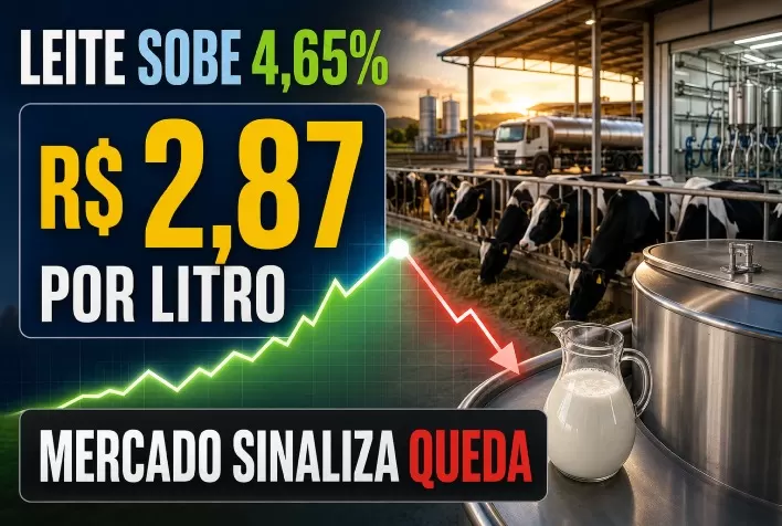 Preço do leite sobe 4,65% e chega a R$ 2,87 por litro, mas mercado sinaliza queda