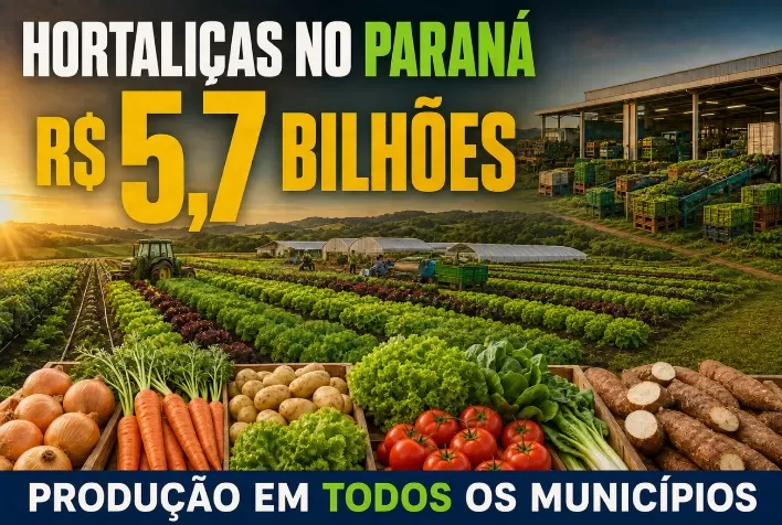 Produção de hortaliças movimenta R$ 5,7 bilhões no Paraná e alcança todos os municípios