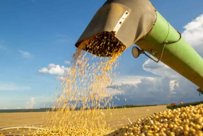 Clima, La Niña e tensões geopolíticas podem impulsionar preços das commodities agrícolas