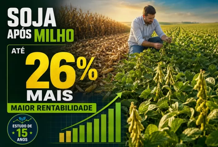 Soja após milho produz até 26% mais e amplia rentabilidade no campo, aponta estudo de 15 anos