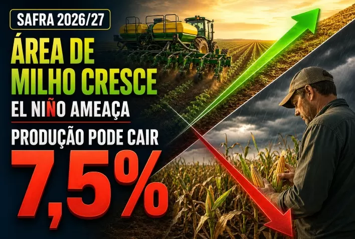 Safra 2026/27: área de milho cresce em Mato Grosso, mas El Niño pode derrubar produção em 7,5%
