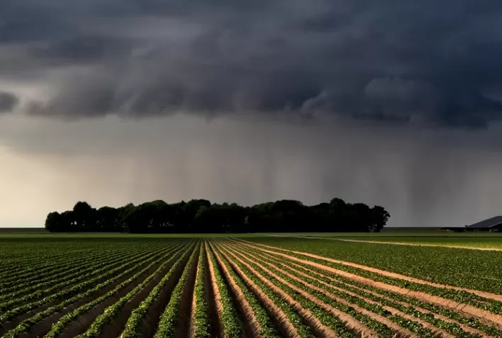 Seguro Rural pode ter apenas R$ 318,5 milhões garantidos em 2027, alerta Sistema FAEP