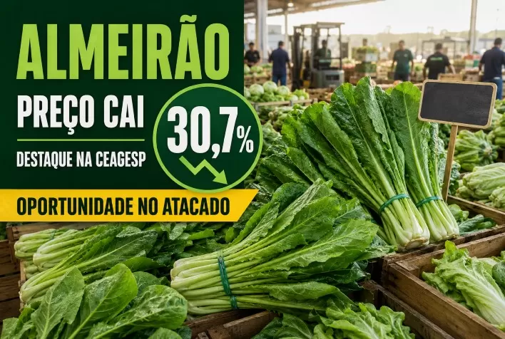 Preço do almeirão cai 30,7% na CEAGESP e verdura lidera oportunidades no atacado