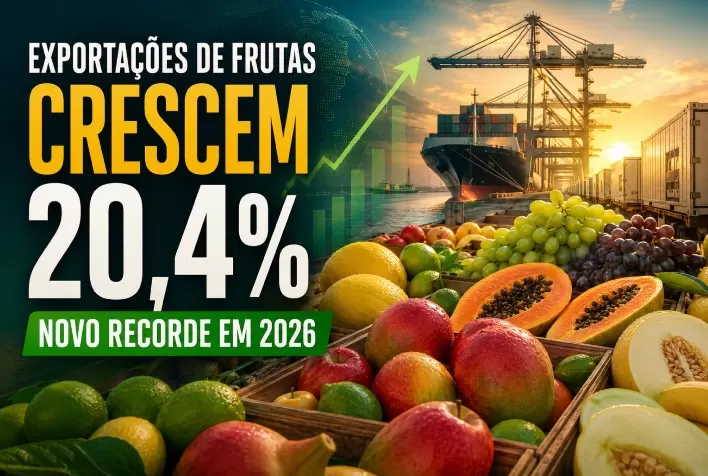 Exportações brasileiras de frutas crescem 20,4% e país caminha para novo recorde em 2026
