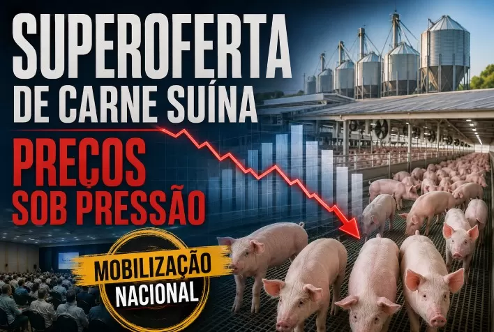 Superoferta de carne suína pressiona preços e leva setor a lançar mobilização nacional