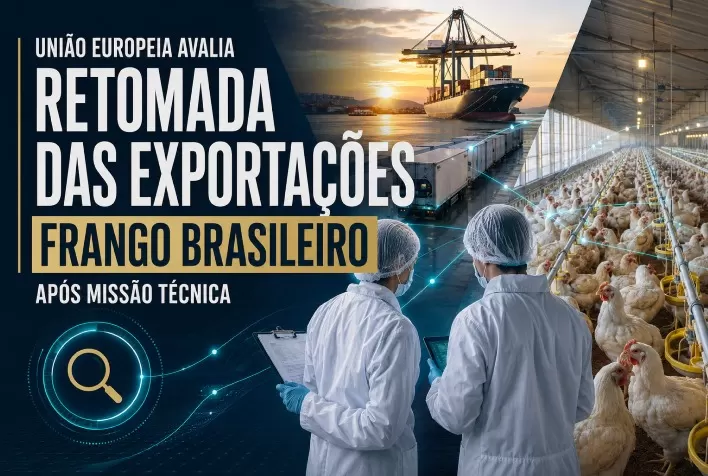 União Europeia avalia retomada das exportações de frango brasileiro após missão técnica