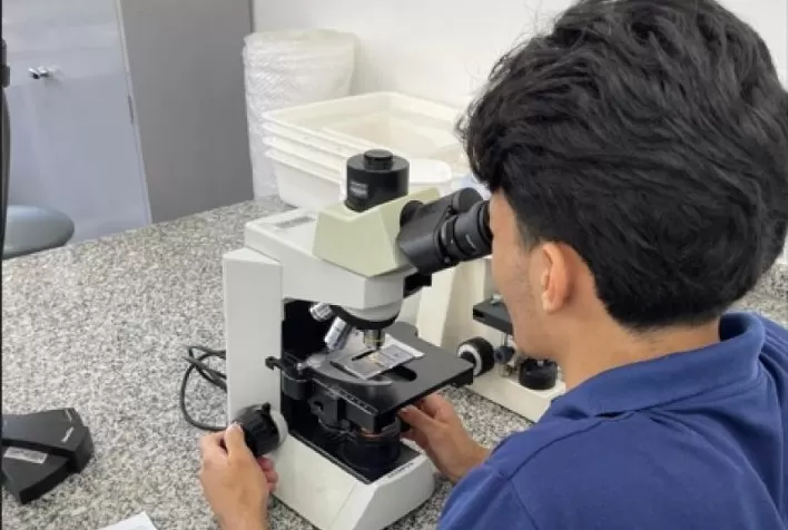 Pesquisa da Unesp usa resíduos de óleos essenciais para combater doenças em frutas