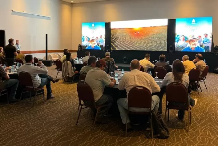 Soja 2026/27 em Mato Grosso do Sul acende alerta para buva, percevejo-marrom e cercospora