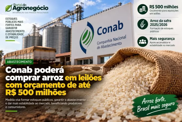 Conab poderá comprar arroz em leilões com orçamento de até R$ 500 milhões