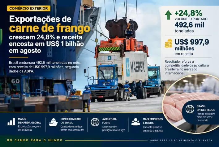 Exportações de carne de frango crescem 24,8% e receita encosta em US$ 1 bilhão em agosto
