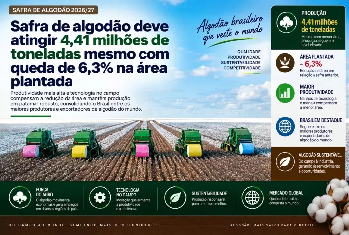 Safra de algodão deve atingir 4,41 milhões de toneladas mesmo com queda de 6,3% na área plantada