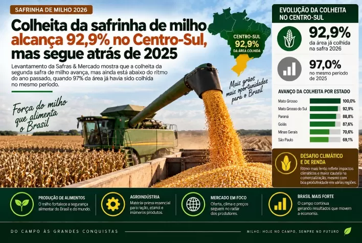 Colheita da safrinha de milho alcança 92,9% no Centro-Sul, mas segue atrás de 2025