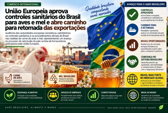 União Europeia aprova controles sanitários do Brasil para aves e mel e abre caminho para retomada das exportações
