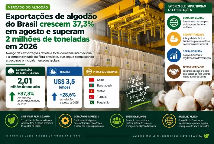 Exportações de algodão do Brasil crescem 37,3% em agosto e superam 2 milhões de toneladas em 2026