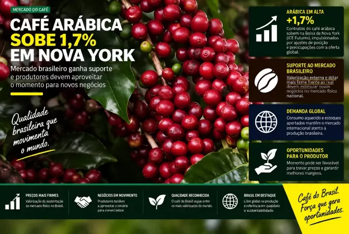 Café arábica sobe 1,7% em Nova York e mercado brasileiro ganha suporte para novos negócios