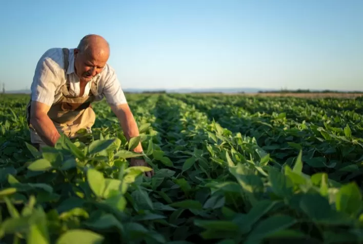 Seguro de vida do produtor rural mais que dobra indenizações em Minas Gerais e chega a R$ 16,3 milhões