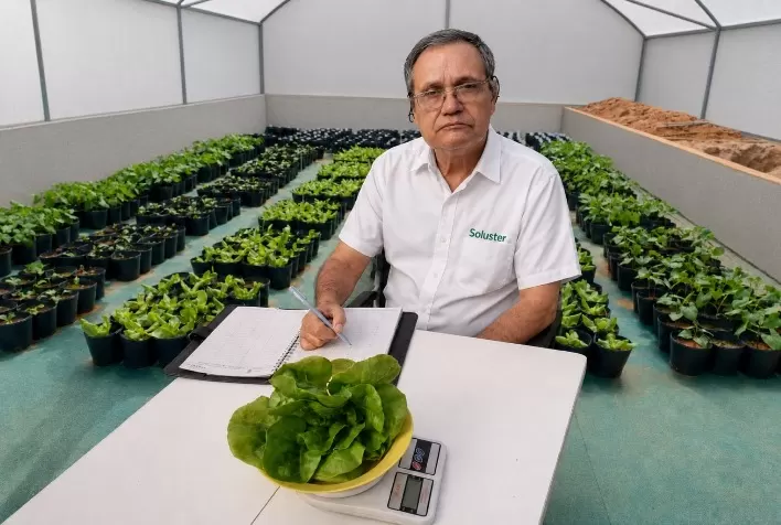 Pesquisa da UFV impulsionou uso de silicatos na correção do solo e na nutrição das plantas