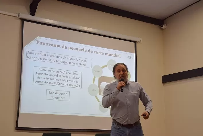 Touros melhoradores elevam lucro, reduzem custos e aceleram produtividade na pecuária