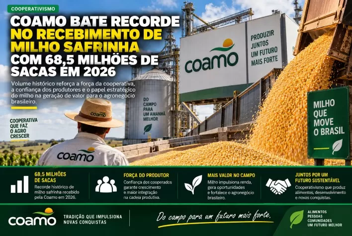 Coamo bate recorde no recebimento de milho safrinha com 68,5 milhões de sacas em 2026