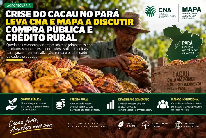 Crise do cacau no Pará leva CNA e Mapa a discutir compra pública e crédito rural