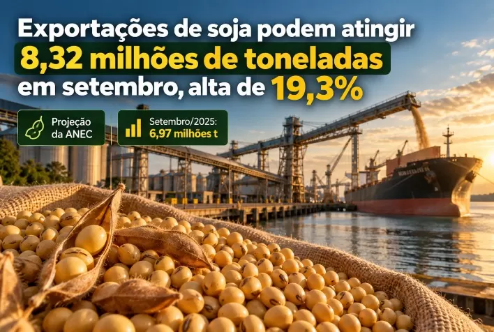 Exportações de soja podem atingir 8,32 milhões de toneladas em setembro, alta de 19,3%