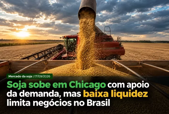 Soja sobe em Chicago com apoio da demanda, mas baixa liquidez limita negócios no Brasil