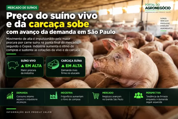 Preço do suíno vivo e da carcaça sobe com avanço da demanda em São Paulo