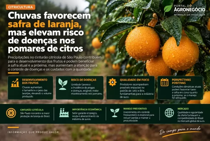 Chuvas favorecem safra de laranja, mas elevam risco de doenças nos pomares de citros
