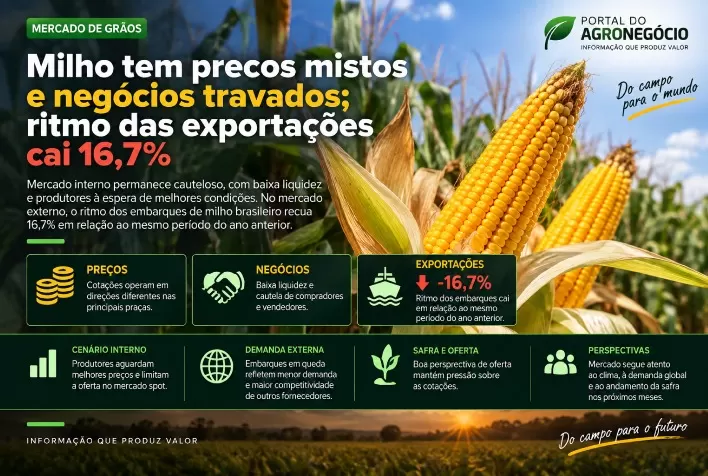 Milho tem preços mistos e negócios travados; ritmo das exportações cai 16,7%