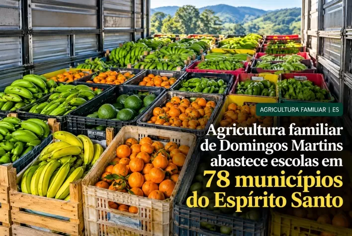 Agricultura familiar de Domingos Martins abastece escolas em 78 municípios do Espírito Santo