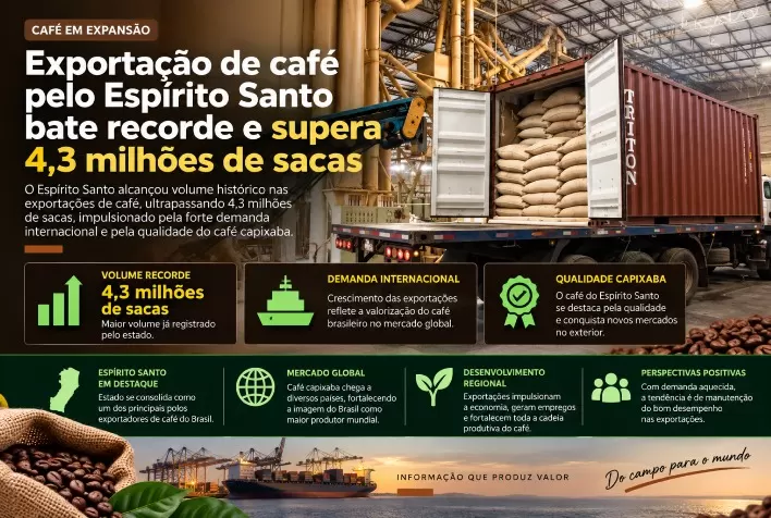 Exportação de café pelo Espírito Santo bate recorde e supera 4,3 milhões de sacas