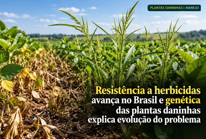 Resistência a herbicidas avança no Brasil e genética das plantas daninhas explica evolução do problema
