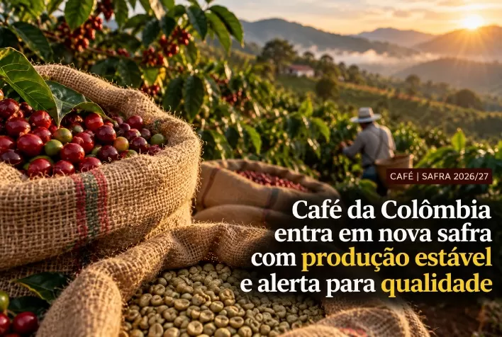 Café da Colômbia entra em nova safra com produção estável e alerta para qualidade