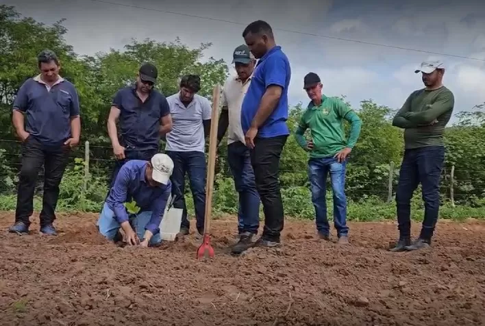 Projeto Caju distribui 10 mil mudas e amplia produção de 107 agricultores no semiárido do Ceará