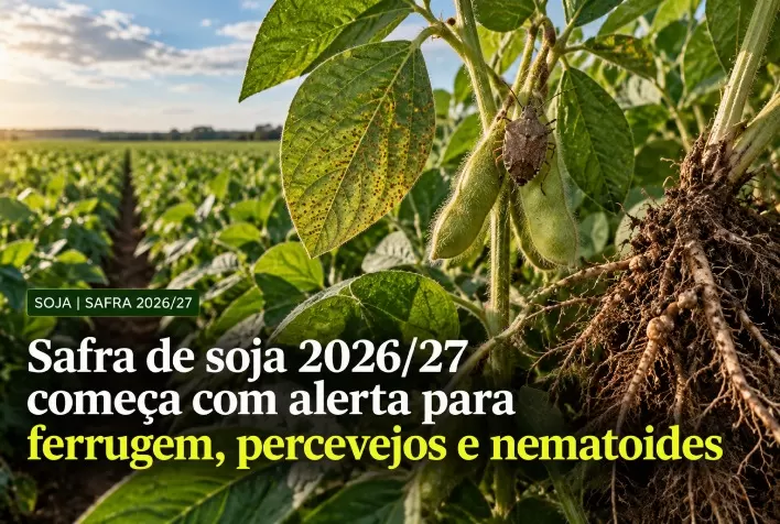 Safra de soja 2026/27 começa com alerta para ferrugem, percevejos e nematoides
