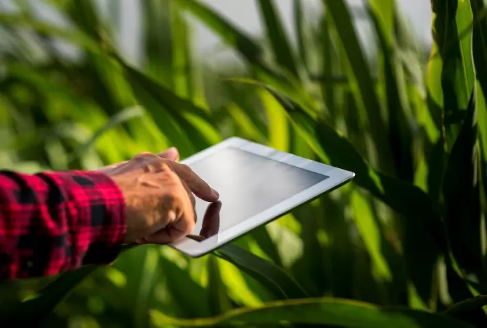 Agro acelera adoção de inteligência artificial e supera média nacional entre empresas