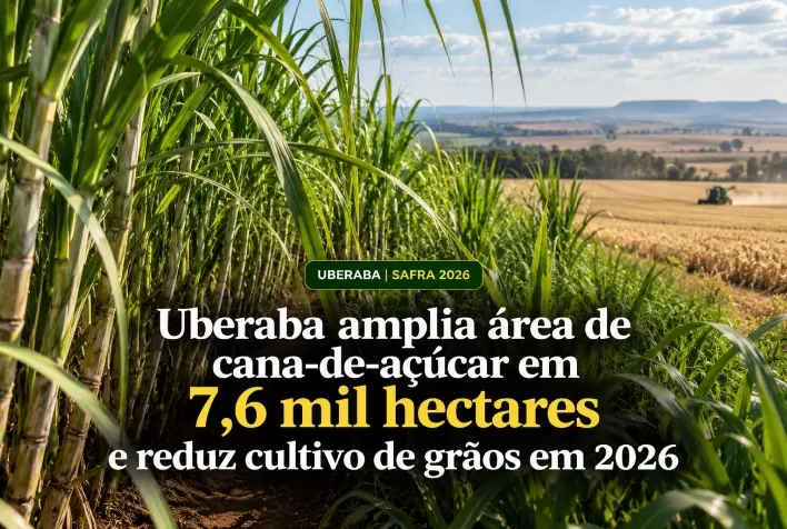 Uberaba amplia área de cana-de-açúcar em 7,6 mil hectares e reduz cultivo de grãos em 2026
